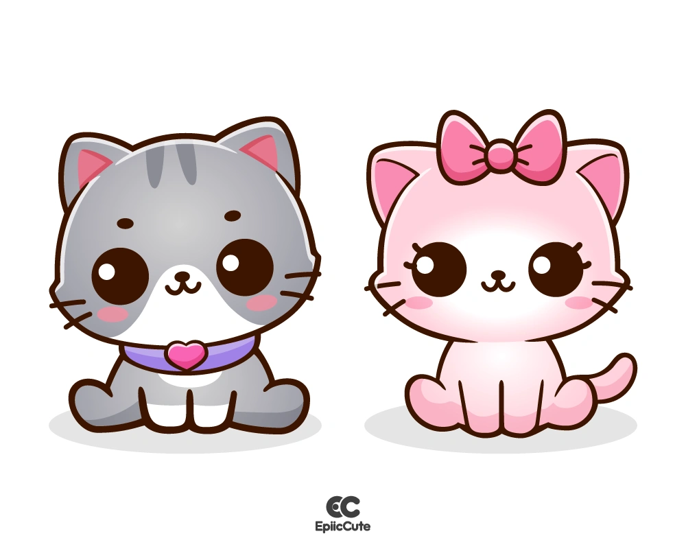 น้องแมวเหมียวตะมุตะมิ หน้าตาน่ารักบ้องแบ๊ว - view 1